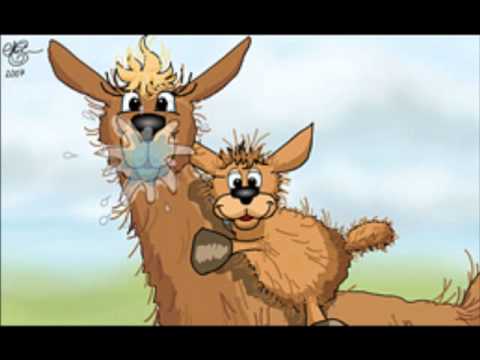 Dedicated to Shayda, for her birthday. WE LOVE YOU!!!