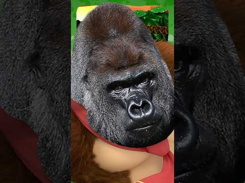 Donkey Kong Needs to go BANANZA in Smash 6