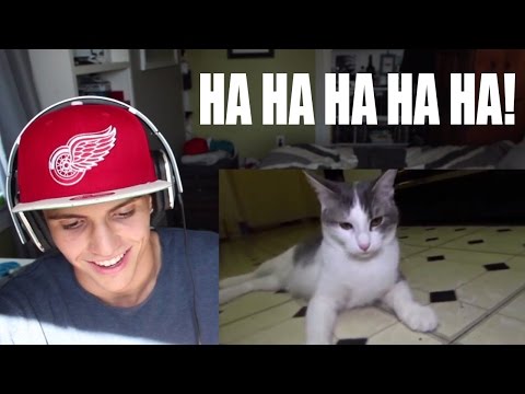 Reacting to Talking Kitty Cat 47.. THIS IS FUNNY AF!
