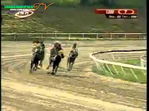 LA RINCONADA 7 CARRERA DOMINGO 24 DE AGOSTO DEL 2014