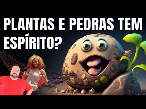 OS ANIMAIS E AS PLANTAS #1 😱 | Estudo Divertido do #Espiritismo 🌿💎✨