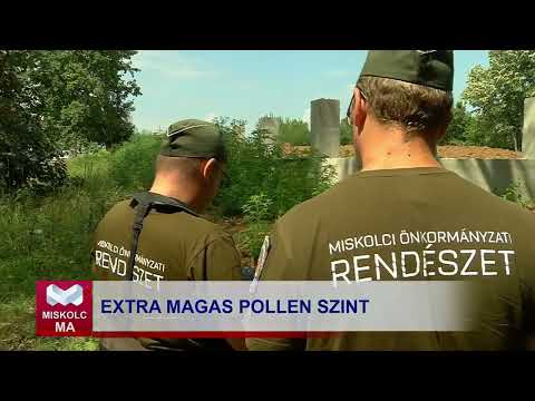 Videó előnézet