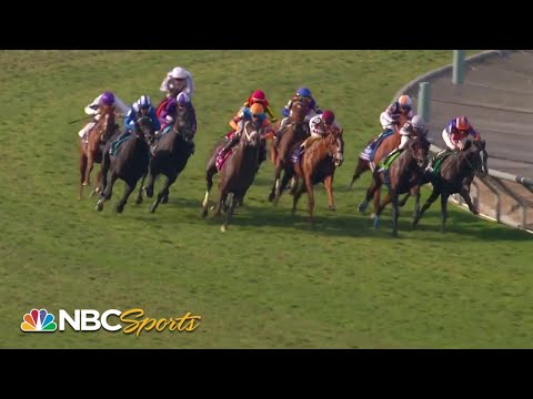 ブリーダーズカップターフ（G1） 2023/11/4(土) | 日程・結果 | JRA