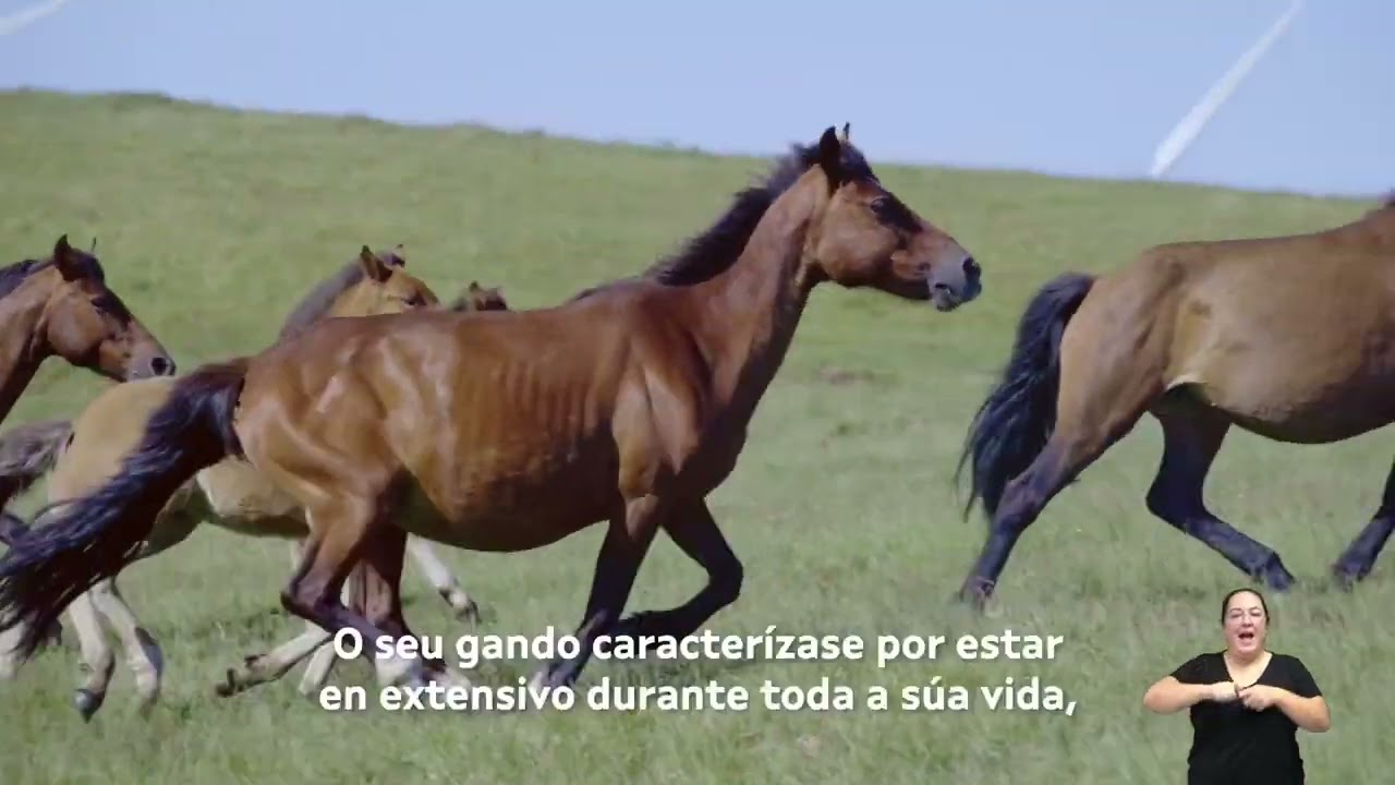 2022 Mocidade FINCA ENXEBREZA