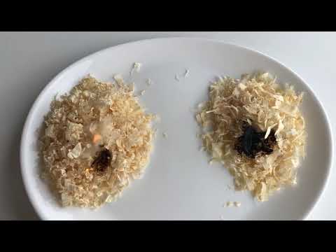 Flammgeschützte Einblasdämmung aus Holzspäne,