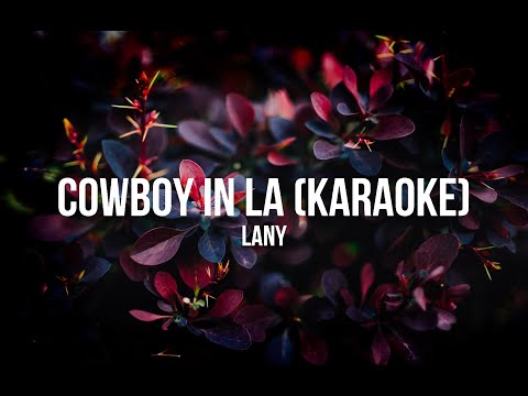 LANY - cowboy in LA  (Karaoke Version)