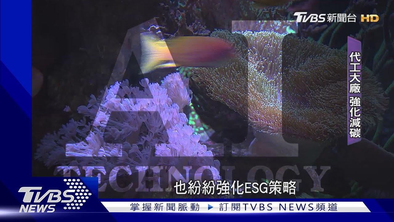 AI吃電怪獸釀能源危機！　大廠拚ESG節能