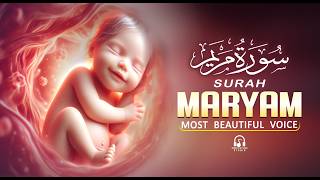 Download lagu Surah Maryam سورة مريم | Spiritual Support During Pregnancy | Alaa Aqel mp3 Download lagu Surah Maryam سورة مريم | Spiritual Support During Pregnancy | Alaa Aqel mp3