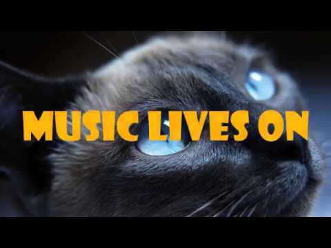 VAU BOY & S3RL - MUSIC LIVES ON