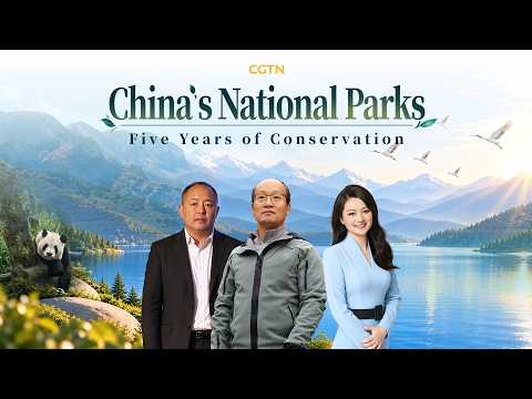 Live: China’s national parks – Five years of conservation