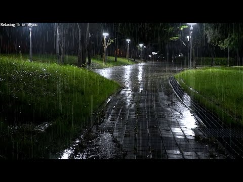 The quiet sound of rain falling in the park at night. The sound of rain. insomnia. The sound of...