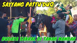 Download lagu Budaya sakral di tanah mandar SAYYANG PATTUDUQ || KUDA MENARI mp3