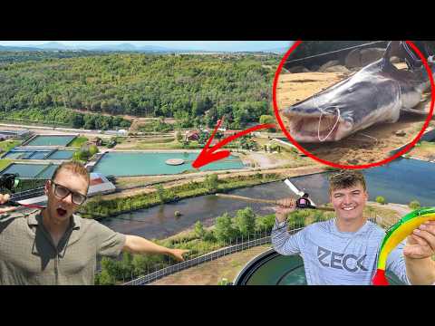 Abandoned sewage treatment plant full of unknown fish species (We fish for them!)