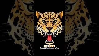 Download lagu Ashwini Ye Na High Gain🙌🔊😍🥵🙉 #viral #dj #compitition #reels #sound #highgain #soundcheck#soundlover mp3