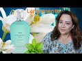 Resenha do Heaven Blue da Wepink. 