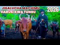 JIGALUCHA MACHIMU HARUSI KWA TUNGU PRD MBEYA STUDIO 2026