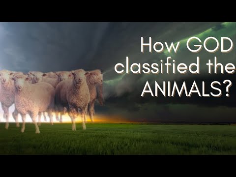 Leviticus 11 | Part 1 | Kosher Laws in the Bible