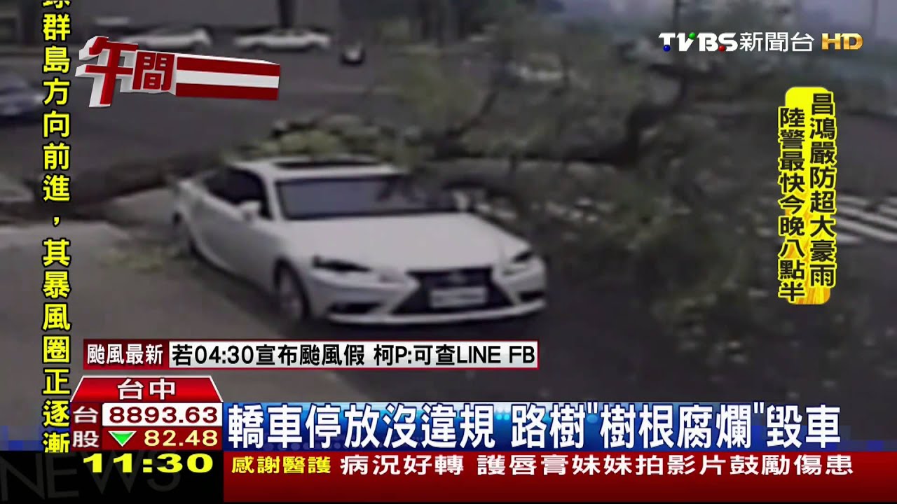 8公尺路樹砸毀2百萬名車　車主申請國賠