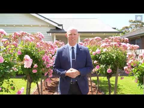 67 Chapel Street, Colac, VIC 3250, 3 Kuwarto, 2 Banyo, House