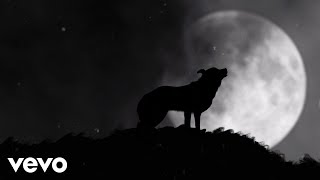 Videoklip: Adam Ďurica - VLCI (Lyric Video) s textom piesne Videoklip Adam Ďurica - VLCI (Lyric Video) s textom piesne