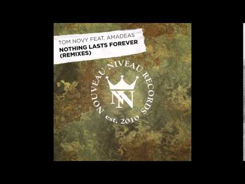 Tom Novy, Amadeas - Nothing Lasts Forever (Schwarz 100 Vocal Dub)