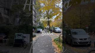 黄色に染まるベルリンｌAutumn in BerlinｌHerbst in Berlin