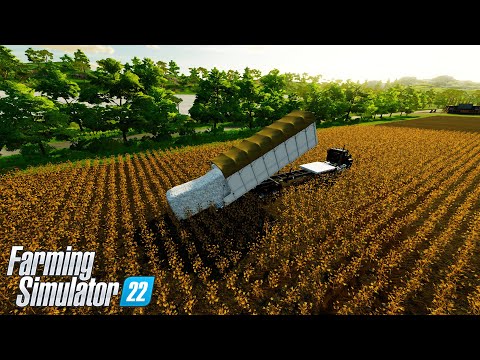 Harvesting and Load Sunflower with TRACTORS  - Farming Simulator 22