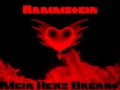 Rammstein - Mein Herz Brennt 