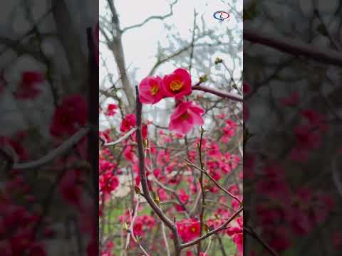  ' . get_the_title() . ' 