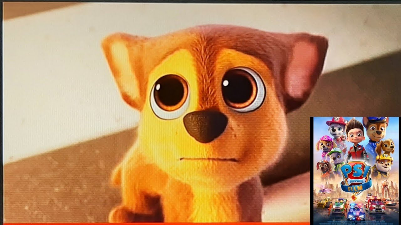 Psi Patrol Film 2021 krótki fragment