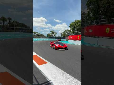 Ferrari FXX, FXXK, and FXXK EVO—all in one place. This is the pinnacle of track-only performance.