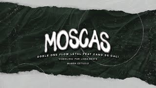 Moscas Lyrics English Translation