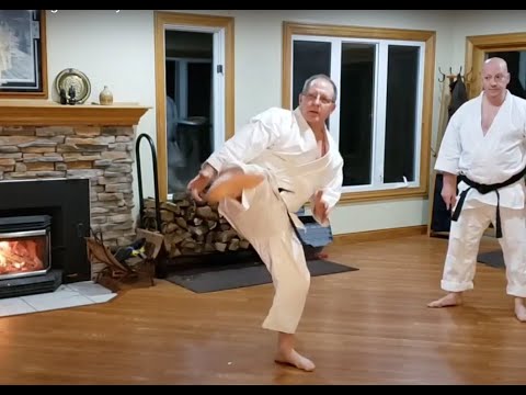 Home Shotokan Karate Training - January 15 2021