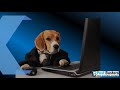 Pest Busters Pest Control Canberra