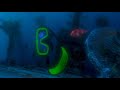 Finding Nemo I M Having Fish Tonight Brazilian Portuguese