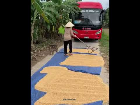 Tài xế xe khách đi đâu vô đây vậy cha #nguyhiem #tainan #ai