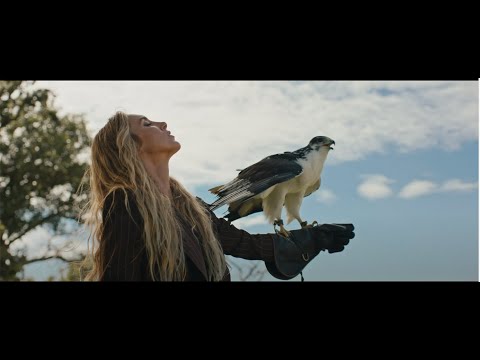 Miss Velvet - Traveler (Official Music Video)