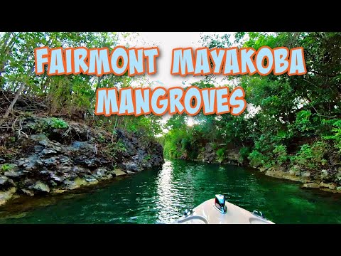 Videos del Fairmont Mayakoba Riviera Maya 5★ en Playa del Carmen, MéxicoVerPrecios22CerrarConsulta por Whatsapp 🇦🇷BookingTripadvisorExpediaAgodaTravelocityOrbitzPricelineTripSkyscannerDespegarKayakHotelesBestdayDestiniaTrivagoTurismocityAlmundoLastminuteHotwireCheapticketsTuiWotif