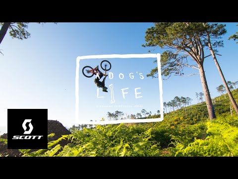 Brendan Fairclough se vrací na Madeiru!