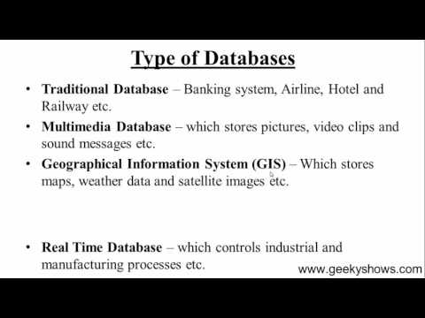 4 Type of Database Hindi