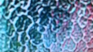 Cocteau Twins - Theft, And Wandering Around Lost