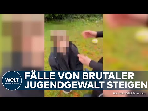 ALARMIERENDE JUGENDGEWALT: Neuer Fall schockiert – Viele Täter wegen ihres Alters strafunmündig