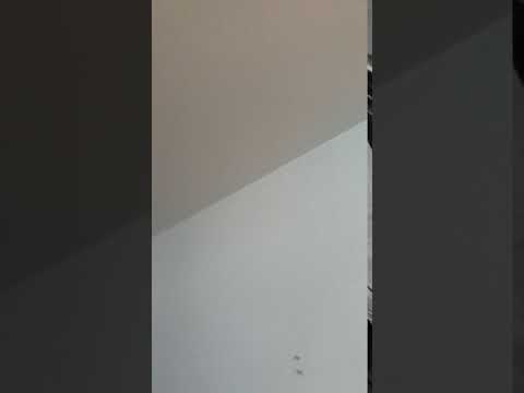 Noise harassment from neighbors flat - 06102017