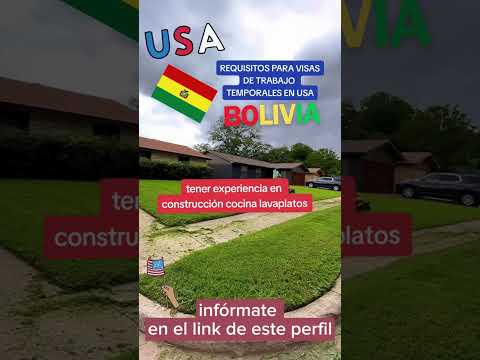REQUISITOS PARA VISA TRABAJO BOLIVIA 2023 #2023 #bolivia #cochabamba #visa #comida #español