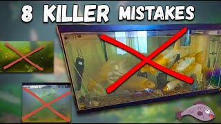 8 Beginner Fish Tank Mistakes That Kill Fish
