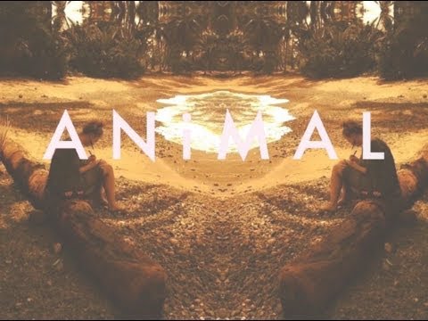 ANiMAL // Suzanna Choffel