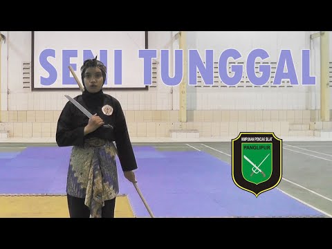 Seni tunggal IPSI ll Vera Kota bandung