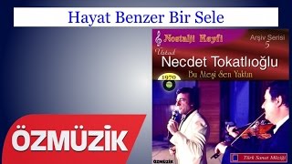 Hayat Benzer Bir Sele - Necdet Tokatlıoğlu (Official Video)
