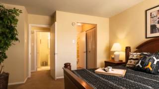 The Metropolitan Doylestown