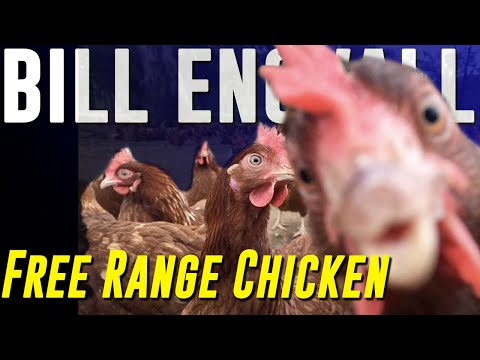 Bill Engvall - Free Range Chicken